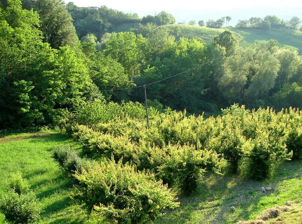 Casa Dell' Abbondanza B&B Agriturismo Vigoleno 0*,  Italy