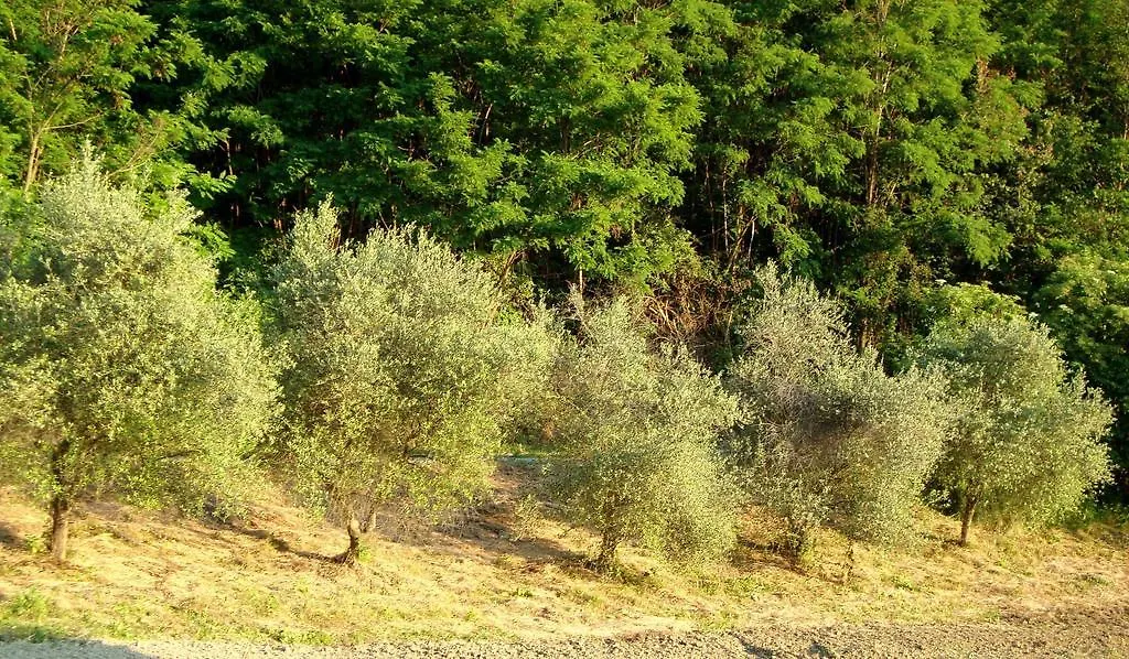 Casa Dell' Abbondanza B&B Agriturismo Vigoleno