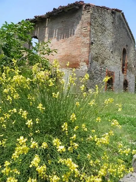 Bed & Breakfast Casa Dell' Abbondanza B&B Agriturismo Vigoleno