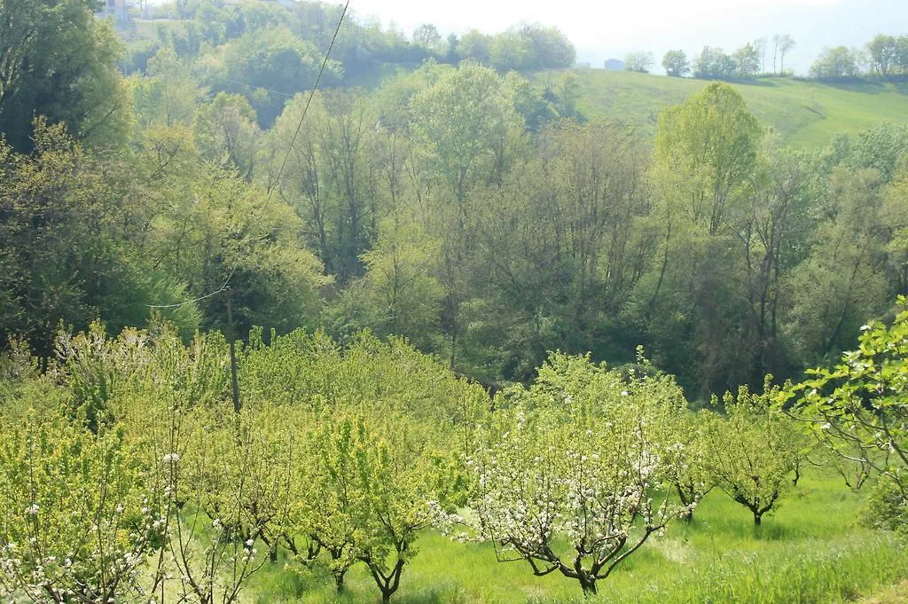 Casa Dell' Abbondanza B&B Agriturismo Vigoleno Frühstückspension