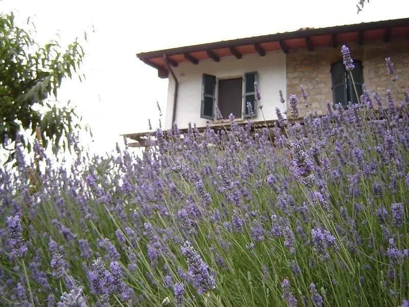 Couette-café Casa Dell' Abbondanza B&B Agriturismo Vigoleno Italie